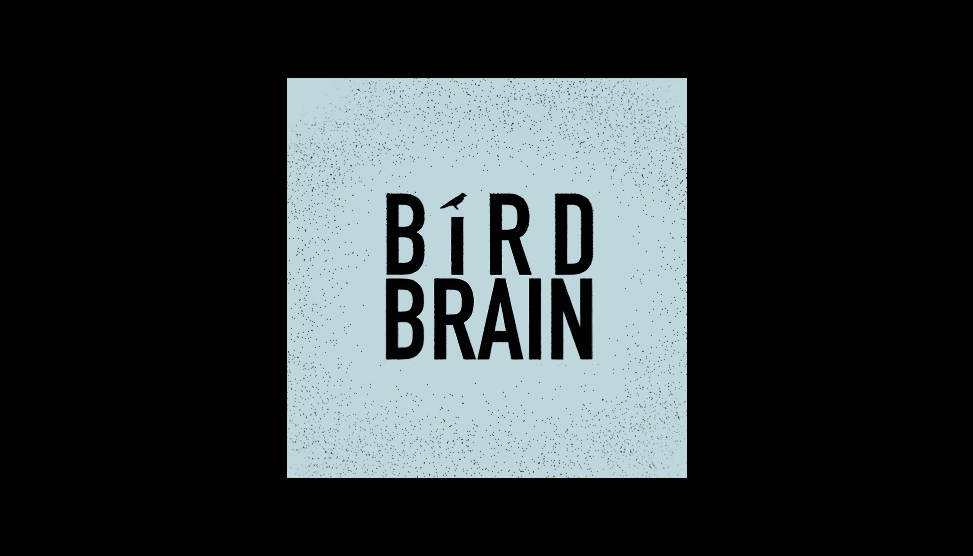 birdbrain logo
