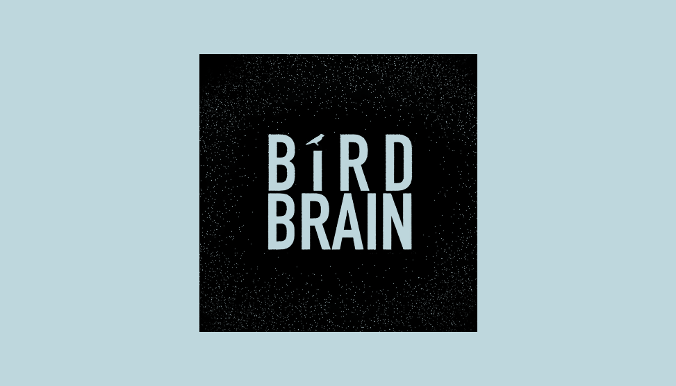 birdbrain logo